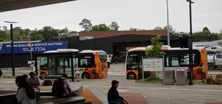 Ventura Hino Poncho 1549 & 1547